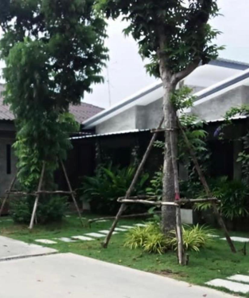 บ้านพักบุหงา199 อ สรรพยา Sapphaya ภายนอก รูปภาพ